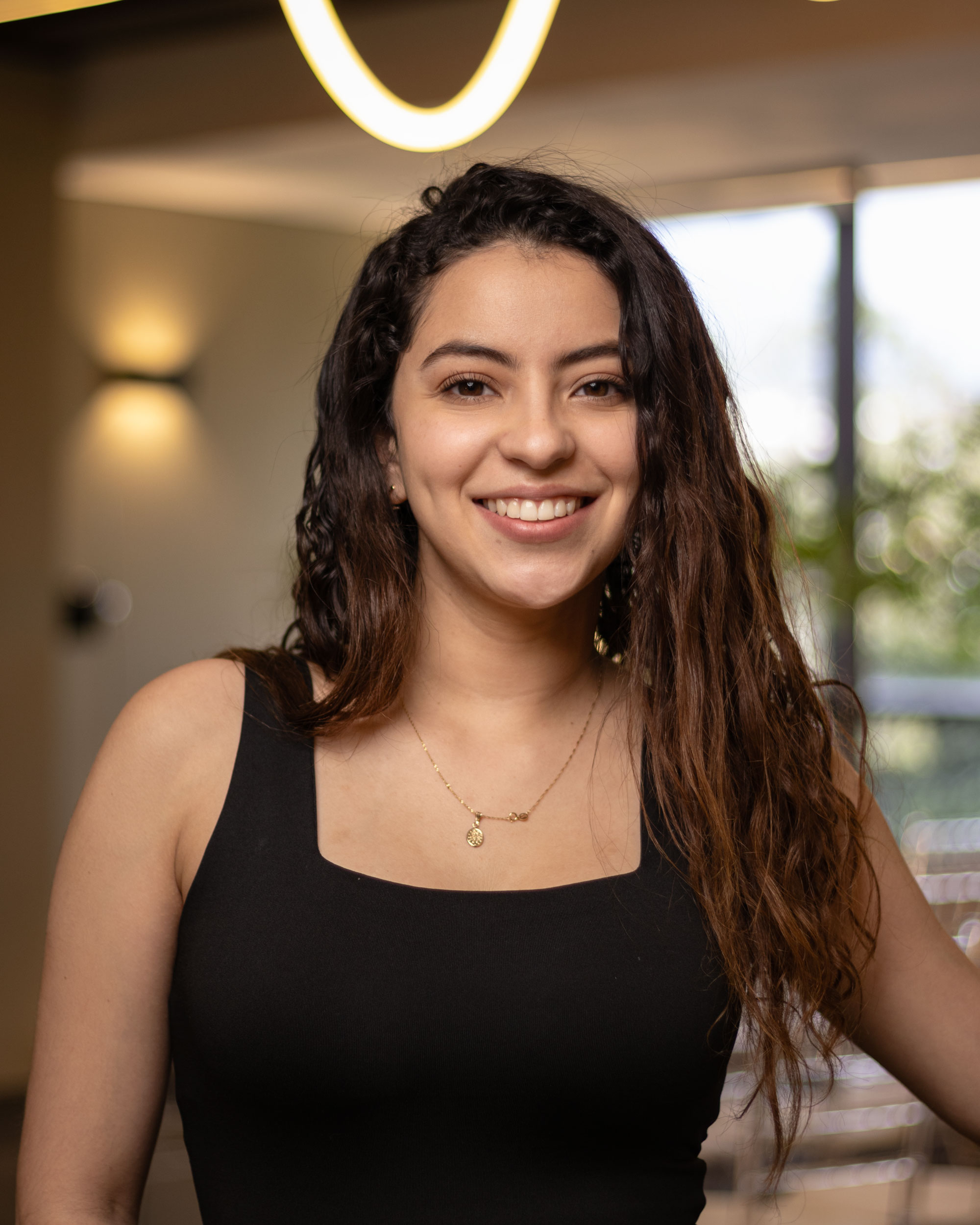 Ana — Ventas & Proyectos